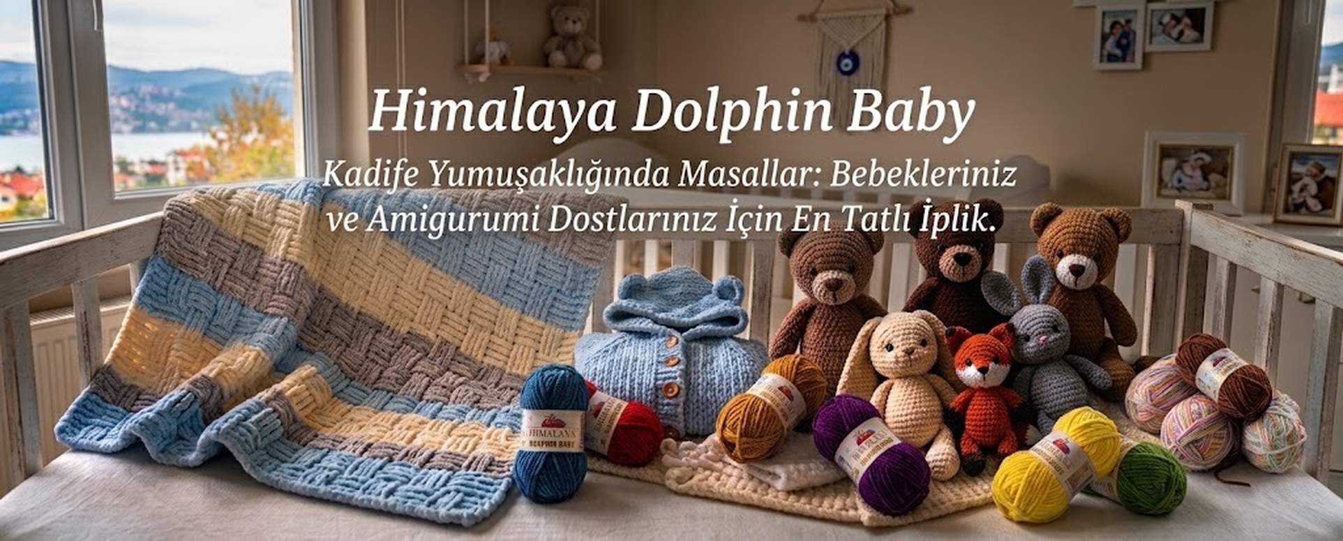 dolphin baby 