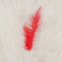 FEATHER PACK OF 5 - Thumbnail